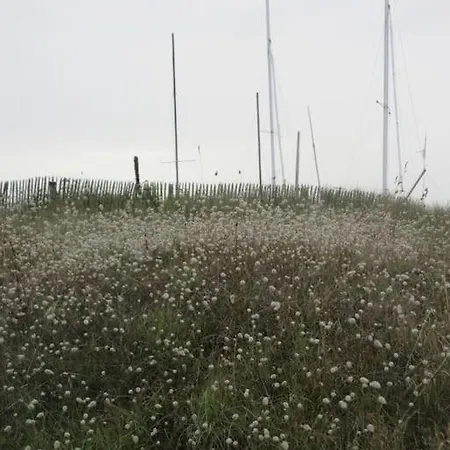 A Carolles, Maison Ideale Pour Des Nature 캐롤