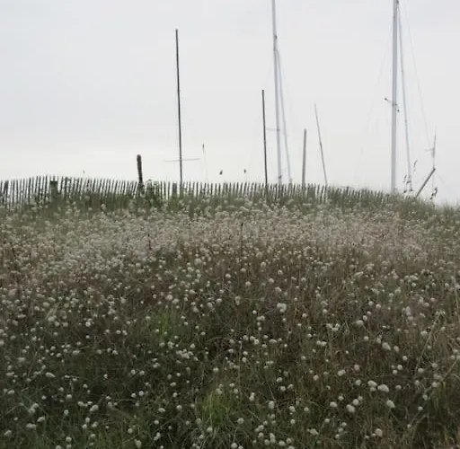 A Carolles, Maison Ideale Pour Des Nature Carolles